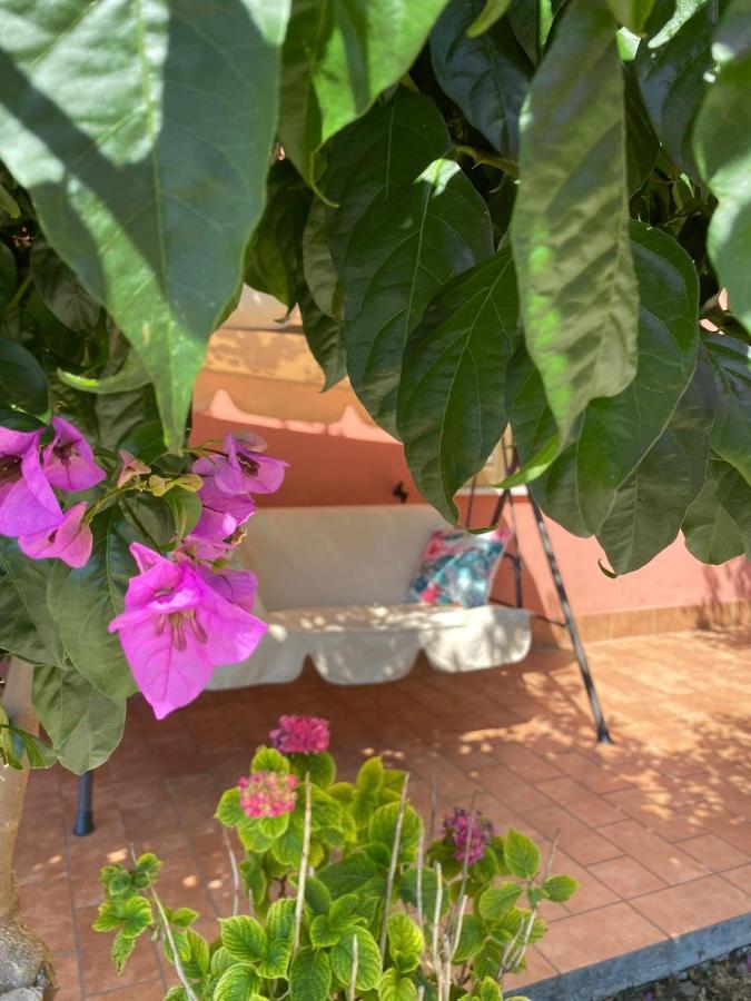 B&B Santa Lucia Silvi Paese Екстер'єр фото