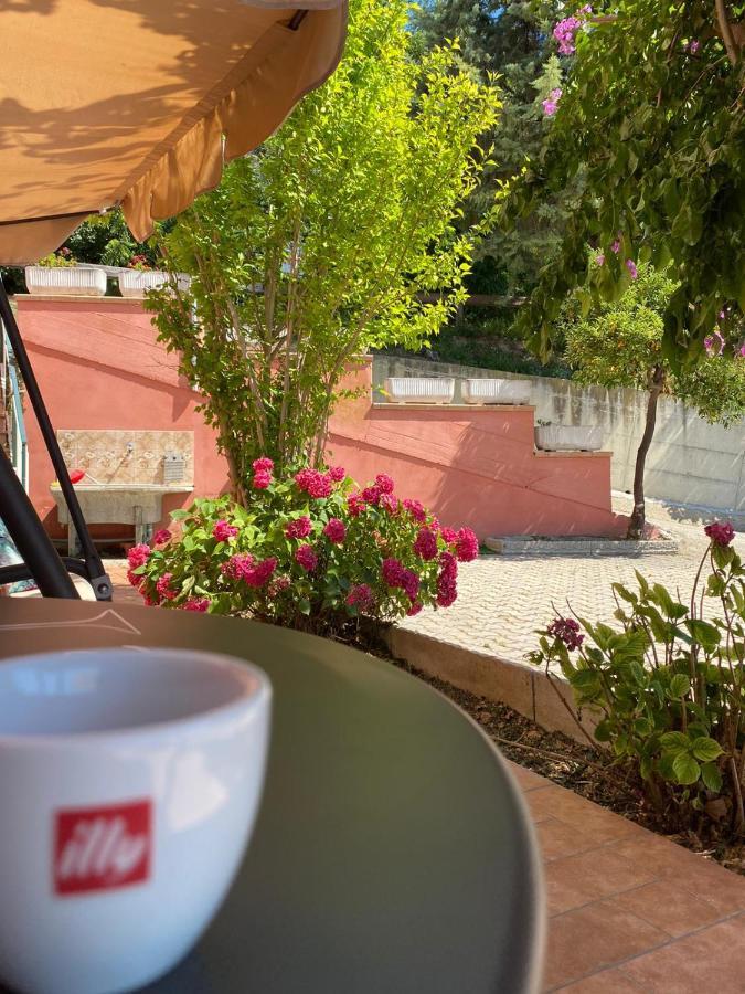 B&B Santa Lucia Silvi Paese Екстер'єр фото